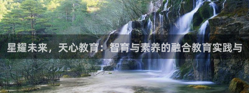 新宝5手机版