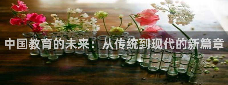 新宝5彩票娱乐平台