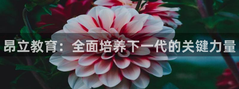 新宝5娱乐如