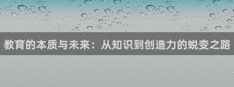 新宝5官网平台