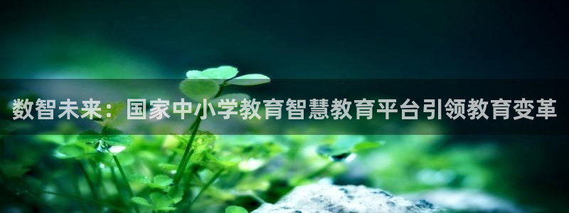 新宝5秒开