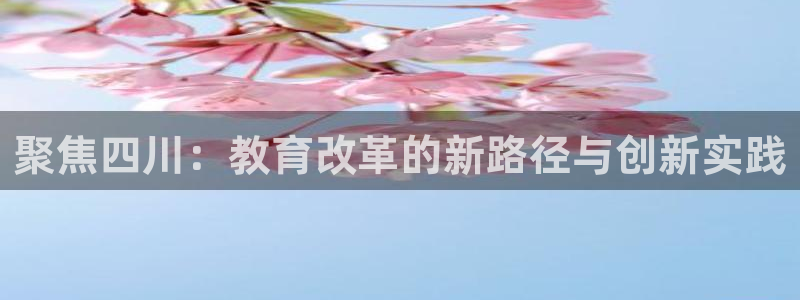 新宝5玩法