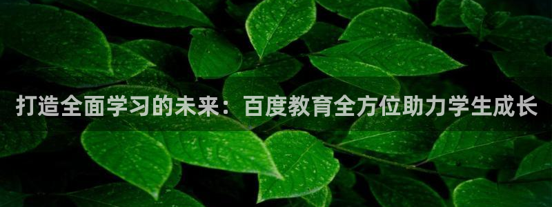 新宝5娱乐多