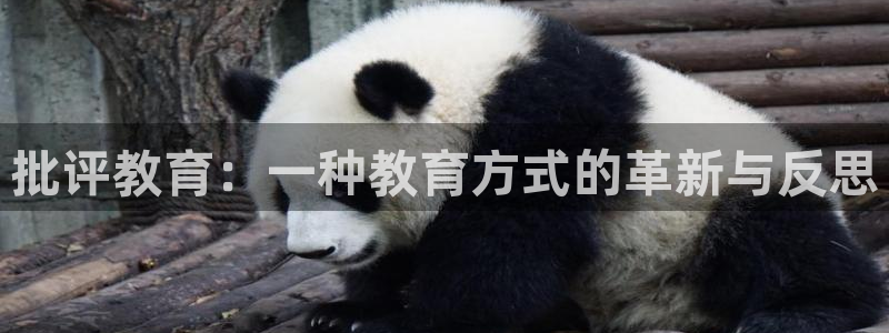 新宝5官网