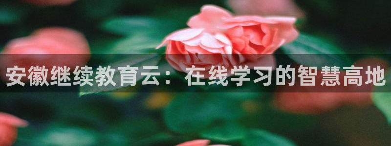 新宝5登陆