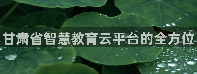 新宝5娱乐方