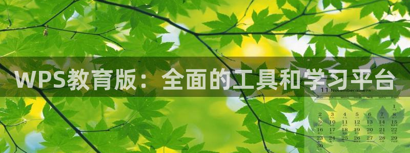 新宝5娱乐