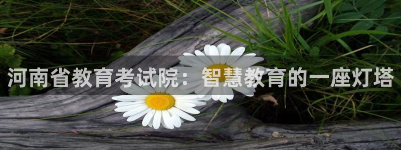 新宝5 - 测速登陆