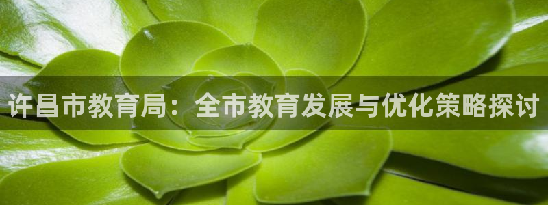 新宝堂新会陈皮5年