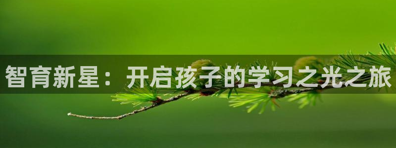 新宝5下载测试