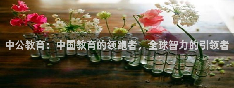 新宝5褚32OO59