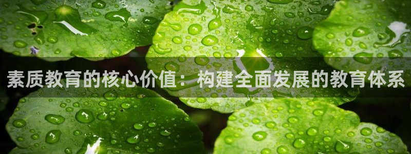 新宝股东张听2 5 5