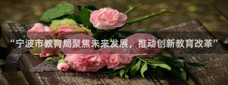 新宝5娱乐家