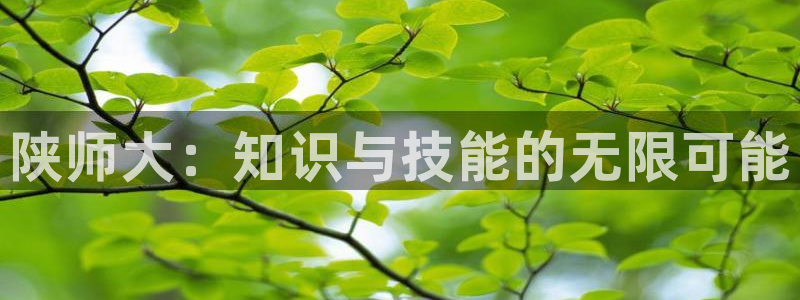 新宝5手机app
