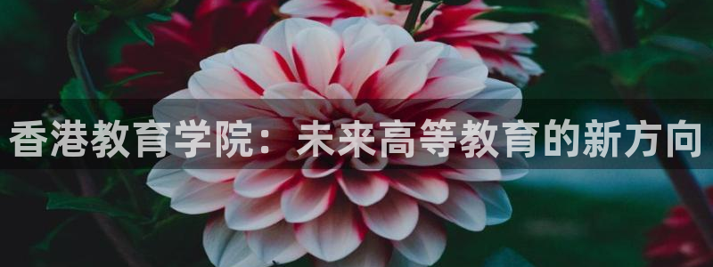 新宝5娱乐然