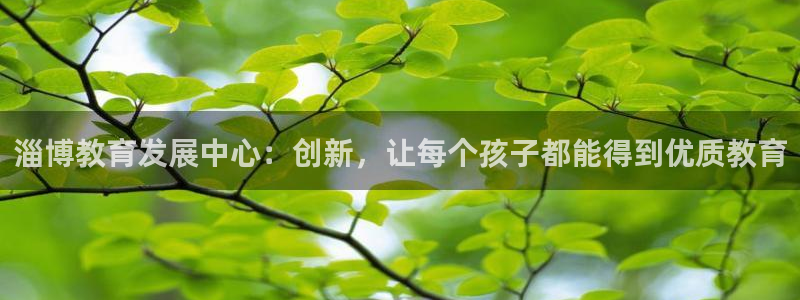 新宝5下载软件