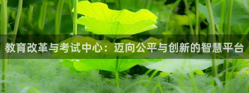 皇冠新宝5
