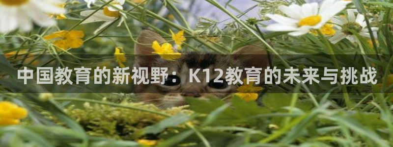 新宝5彩票娱乐平台