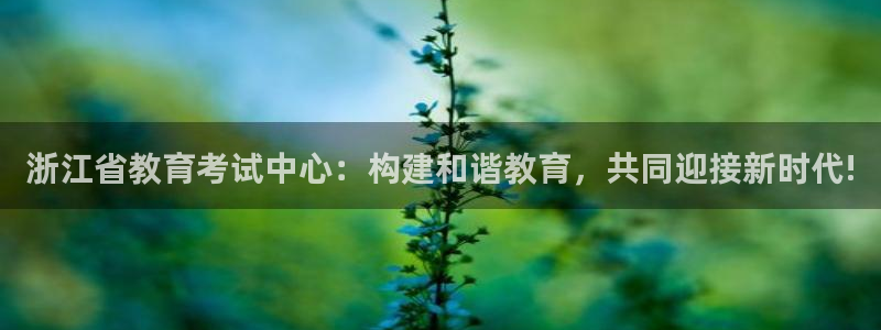 新宝5在哪里