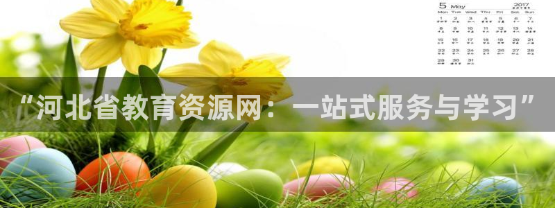 新宝5怎么代理