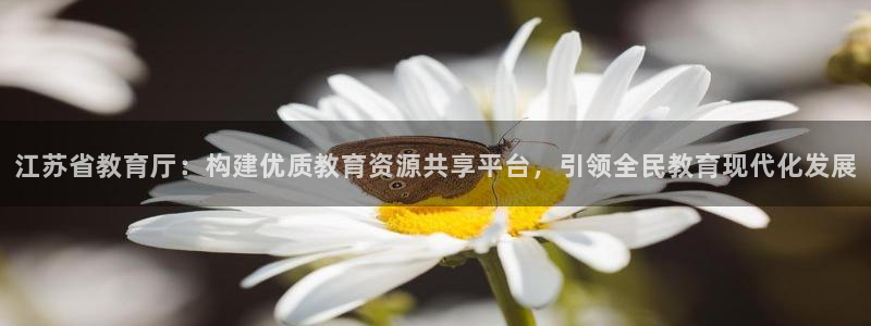 新宝cR一5