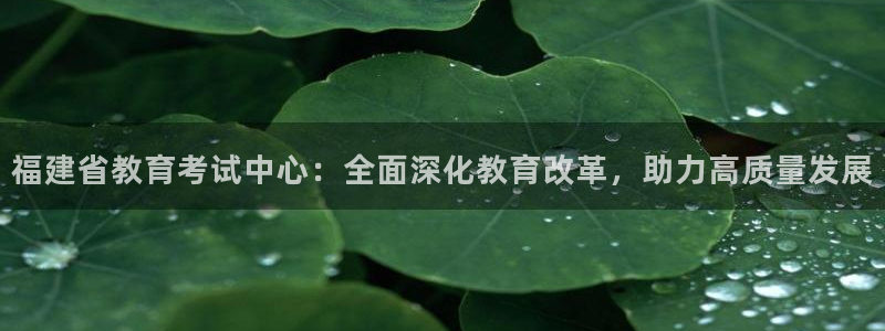 新宝5娱乐家